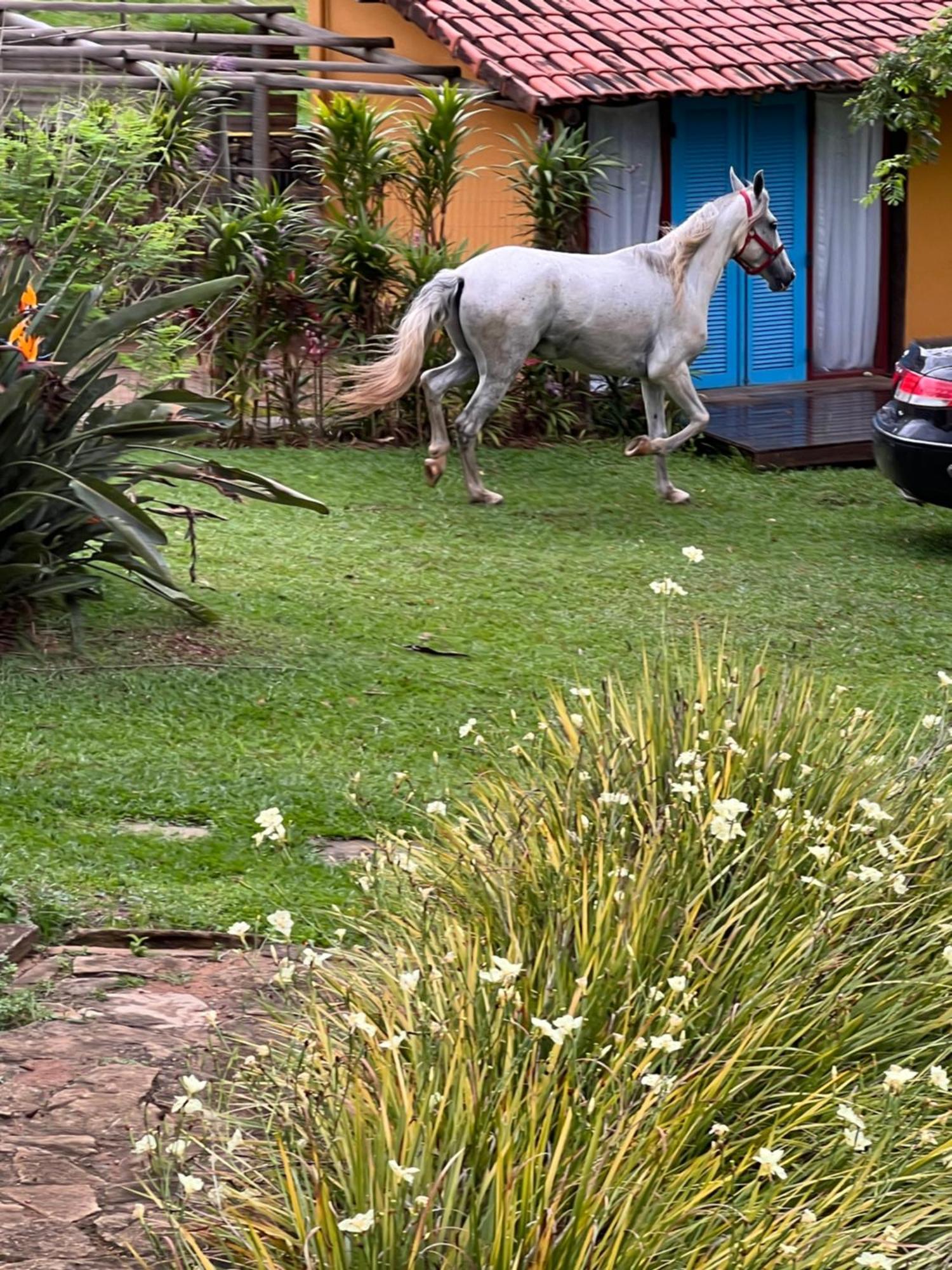 Hotel Fazenda Do Engenho Santa Rita do Rio Abaixo Esterno foto